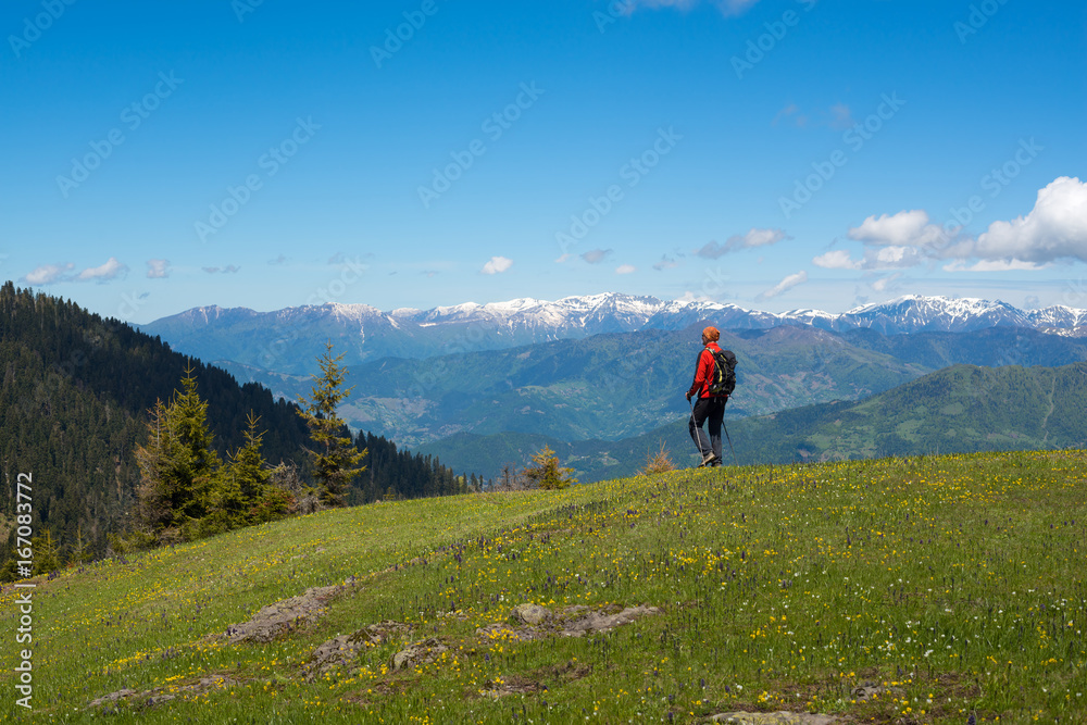 Adventurer goes through the alpine meadow