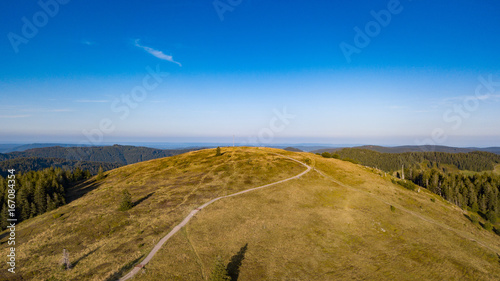 Herzogenhorn im Schwarzwald