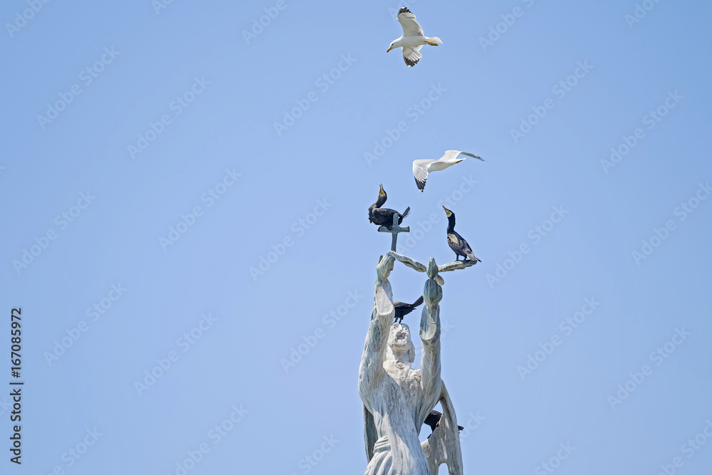 Battle for statue between seagull and black birds 4 Battle for statue between seagull and black birds 4