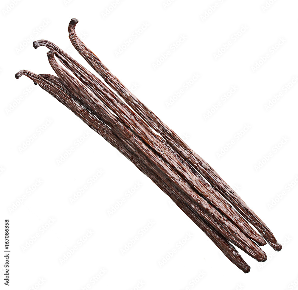 Vanilla pods isolated Vanilla pods isolated