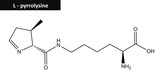 Molecular structure of pyrrolysine