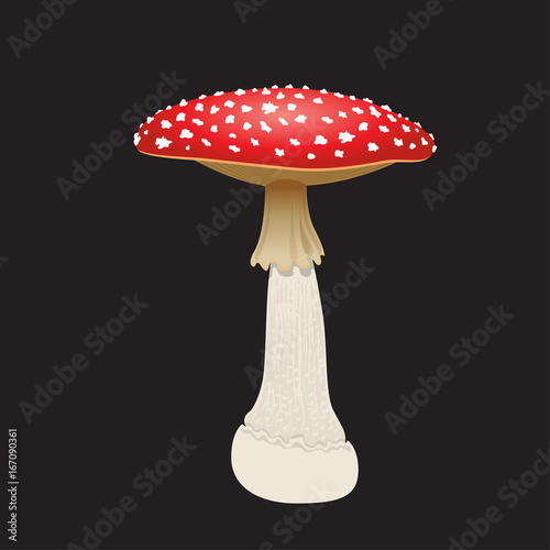 Fly agaric mushroom isolated on black background. Vector Illustration