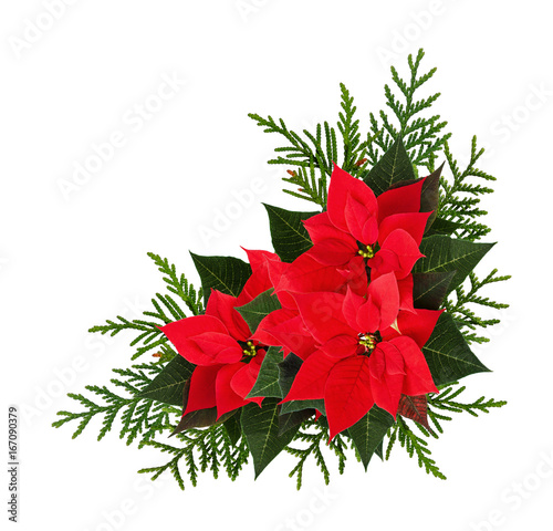 Christmas red poinsettia flowers corner arrangement