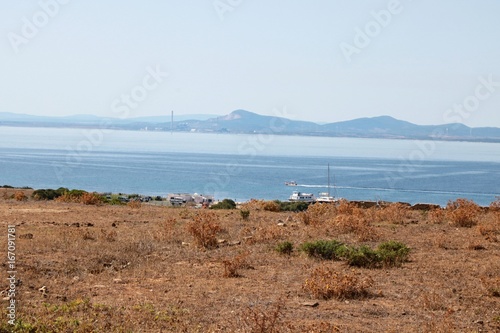 Asinara photo