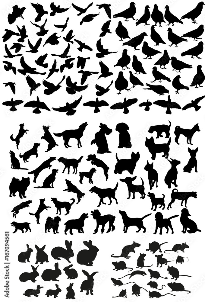 Vector, isolated big set of pets, silhouette of dog and birds, rat, rabbits, collection