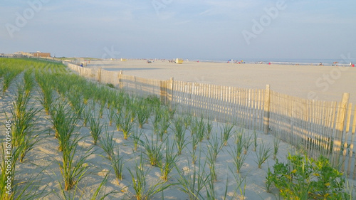 restoration des dunes photo