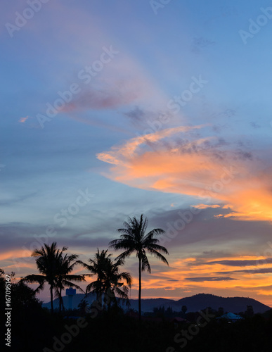 Coconut palms silhouette on dramatic clouds sky sunset background.