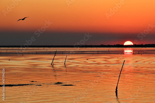 Parco delta del po.