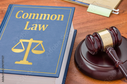 Tableau sur toile A law book with a gavel - Common law