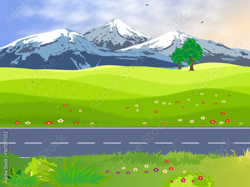 Summer landscape with a green meadow and trees. Snow-capped mountains on the horizon. A car road through a green field with flowers. Vector illustration.