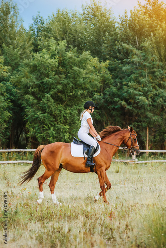 Girl jockey riding a horse © sergo321