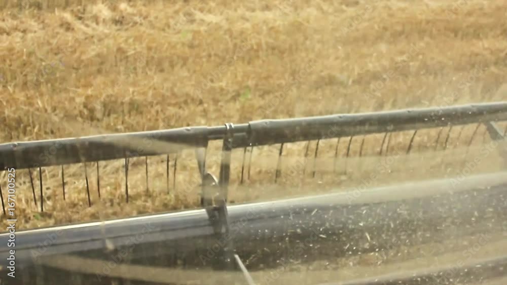 Combine harvester in action on wheat field. A view from the driver's cab, a look from the first person. Combine harvester in action on wheat field. A view from the driver's cab, a look from the first person.