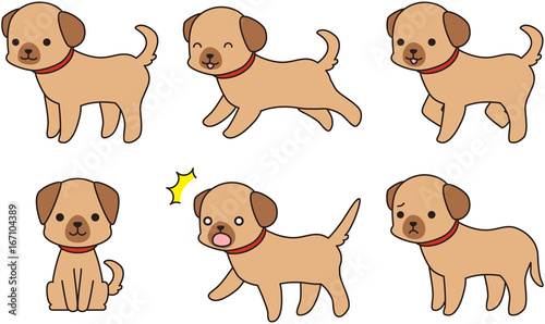 犬 ドッグ わんわん 散歩　表情