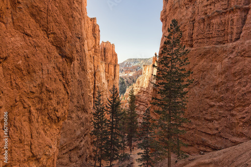 Small Hiker between Towering Canyon Walls