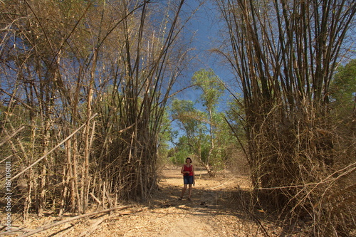 Bamboo Walk im Mary River NP in Australien