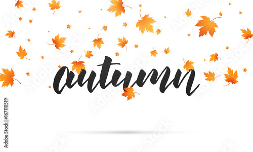 Autumn background. Autumn lettering and falling maple leaves. Template for banner, advertisement, sale etc.