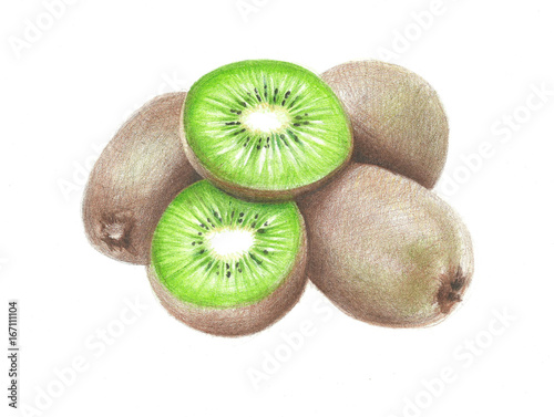 Hand drawing kiwi fruit