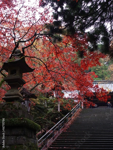 石段と紅葉