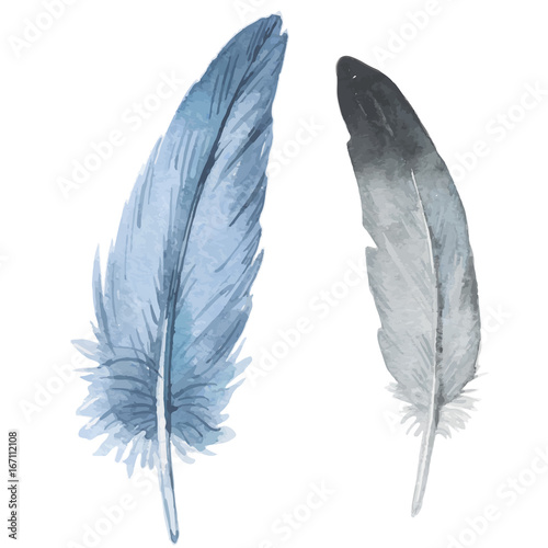 Vector bird feather from wing isolated. Aquarelle feather for background, texture, wrapper pattern, frame or border.