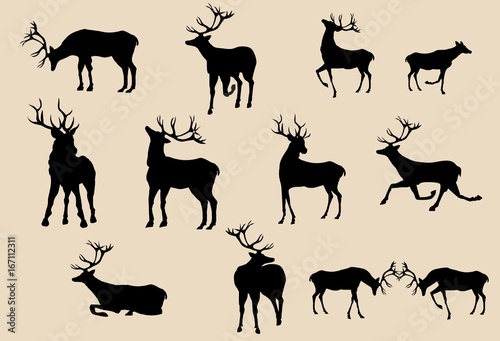 Set of deers silhouettes in various poses vector
