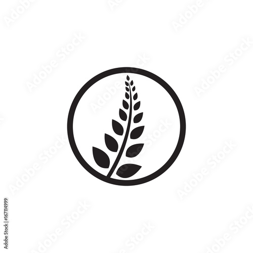 circle wheat vector logo