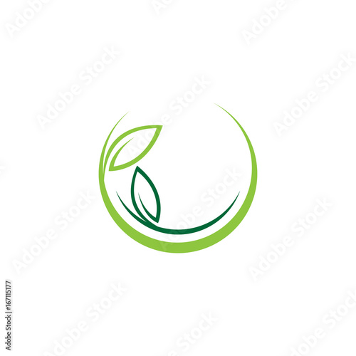 circle nature leaf green logo vector