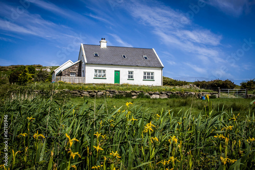 Ireland Homestead