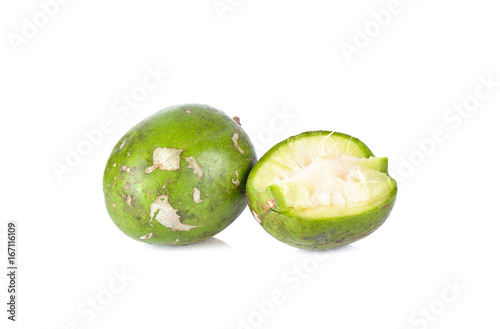 Elaeocarpus hygrophilus on white background photo