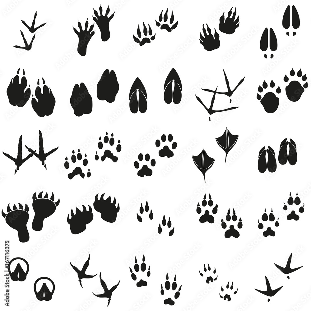 Obraz premium Silhouettes animal birds and mammals footprints set Vector icons.