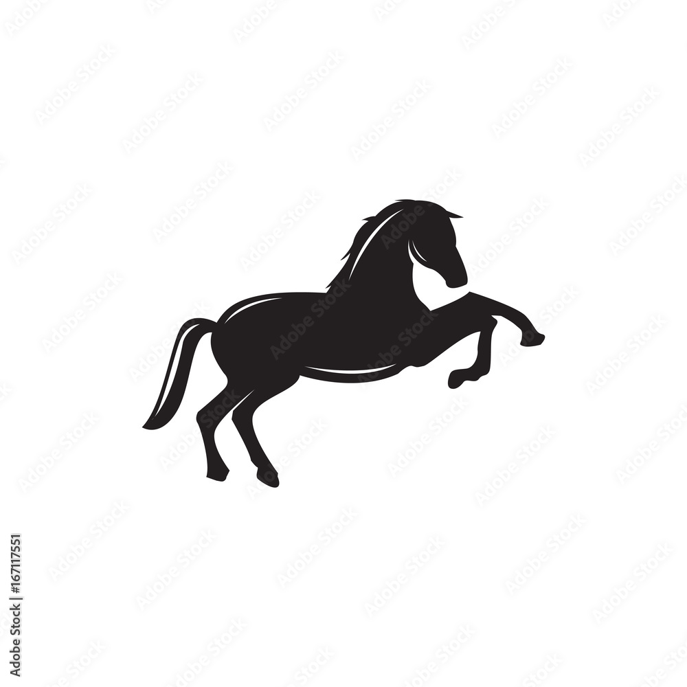 Obraz premium horse silhouette