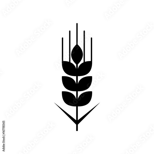 Wheat grain icon. Black, minimalist icon isolated on white background. Wheat grain simple silhouette. Web site page and mobile app design vector element.