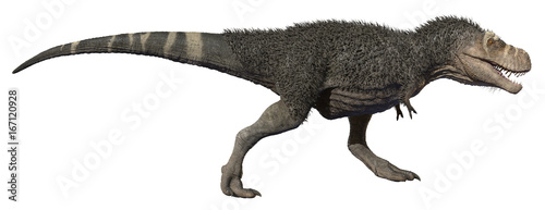 3D rendering of Tyrannosaurus Rex walking  isolated on a white background.