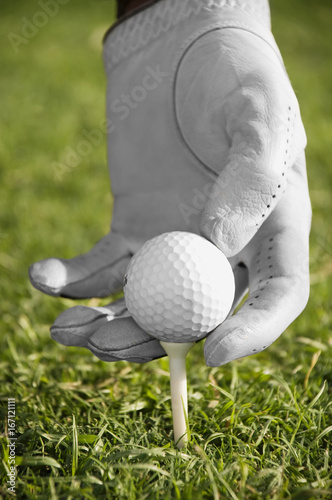 Positioning golf ball on tee 