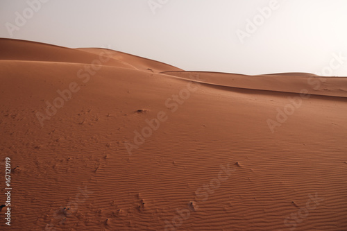 dunas del desierto