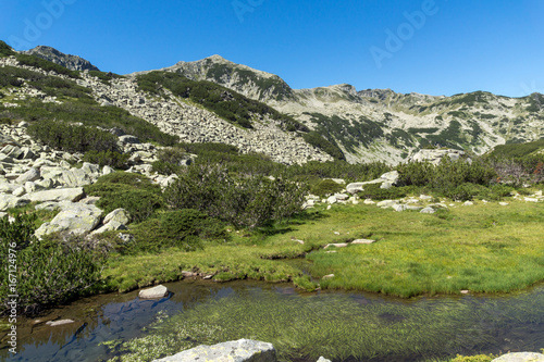 Amazing landscape of Mountain river and Muratov peak, Pirin Mountain, Bulgaria