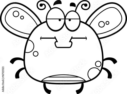 Bored Little Fly