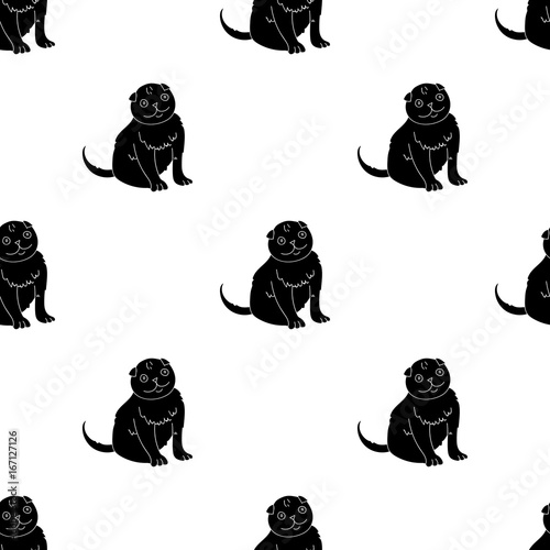 Scottish Fold icon in black style isolated on white background. Cat breeds symbol stock vector illustration.