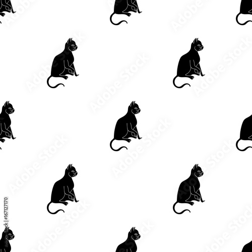 American Shorthair icon in black style isolated on white background. Cat breeds symbol stock vector illustration.