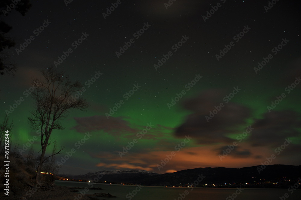 auroras auroras