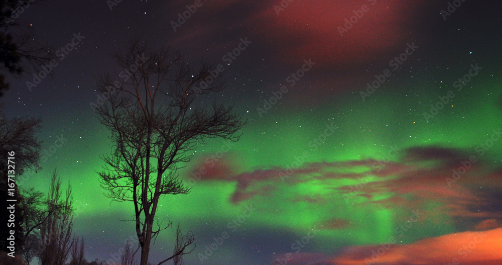 Fototapeta premium auroras