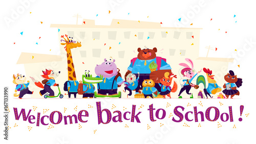 Vector flat school animal characters collection isolated