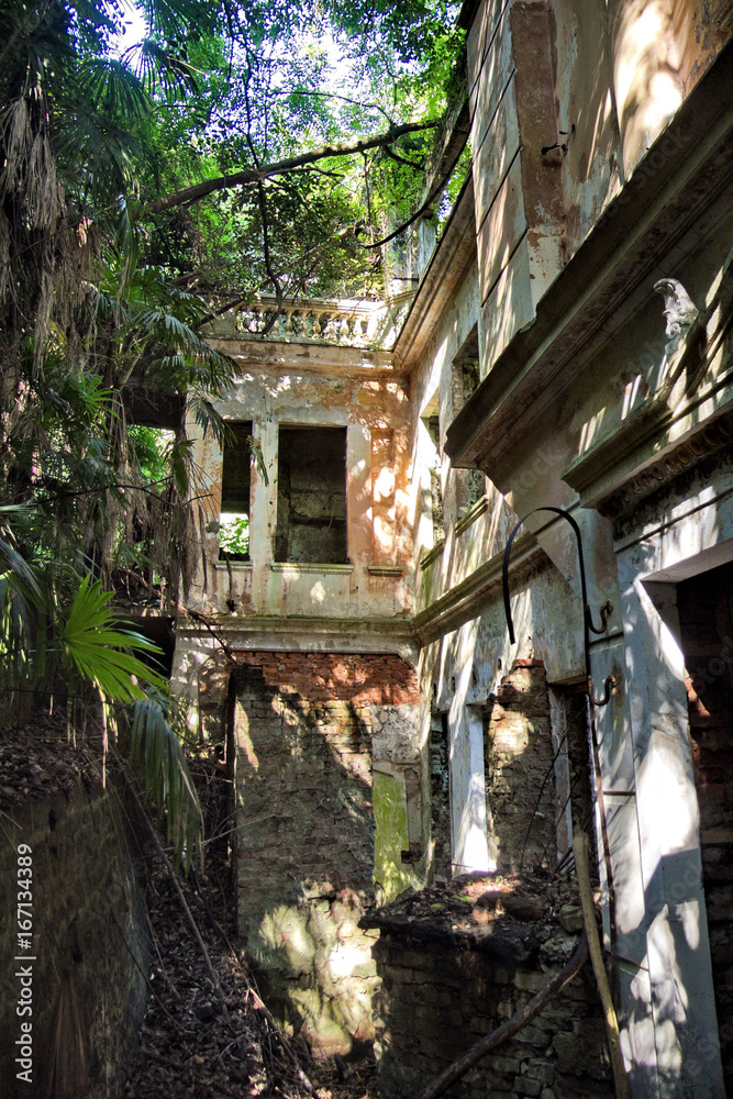 Overgrown ruins of abandoned mansion, Abkhazia. Green post-apocalyptic concept Overgrown ruins of abandoned mansion, Abkhazia. Green post-apocalyptic concept
