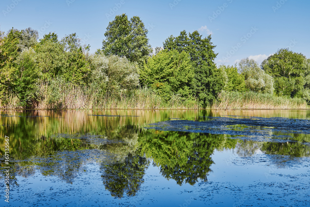 A bright summer sunny day. The blue sky clouds and trees are reflected in on the surface of the river.
