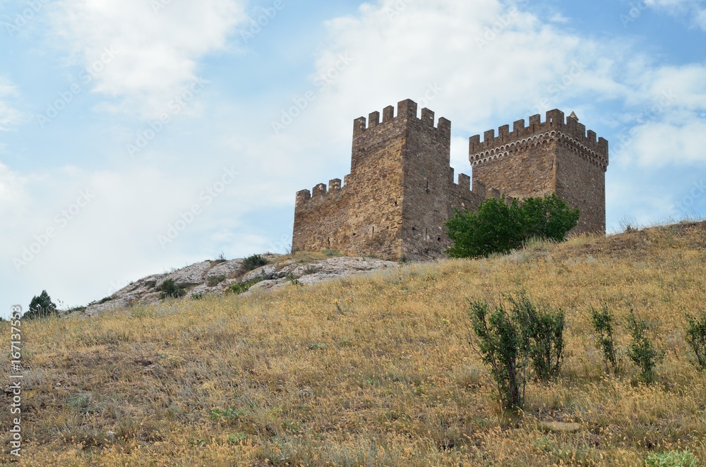 The ancient castle on the mountain.