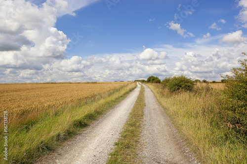 limestone track and wheat field