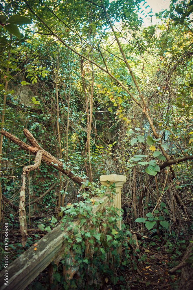 Creepy ruined and overgrown by plants interior of old mansion. Life after humanity post-apocalyptic concept Creepy ruined and overgrown by plants interior of old mansion. Life after humanity post-apocalyptic concept