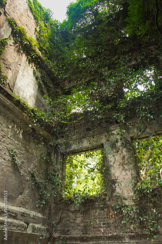 Fototapeta Naklejka Na Ścianę i Meble -  Creepy ruined and overgrown by plants interior of old mansion. Life after humanity post-apocalyptic concept