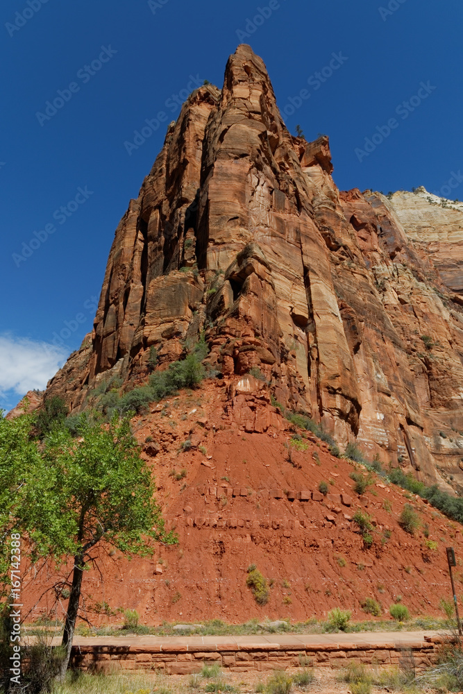 Fototapeta premium Zion National Park