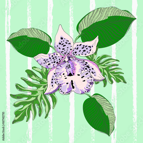 Orchid with exotic flowers on light green background in style pop art. Vector