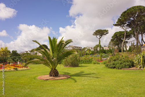 Flowers in a garden in Cornwall at summertime